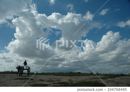 Bull cart at rural Area India 104708495
