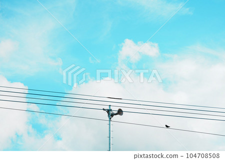 情感藍天和一隻鳥棲息在電話桿上 104708508