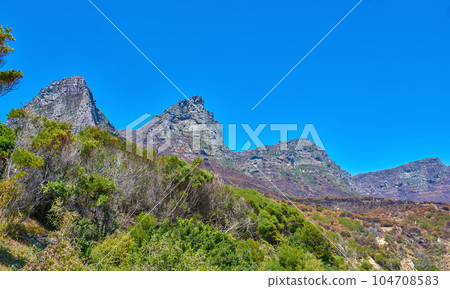 Plants and trees in nature with a mountain background against blue sky in summer. Scenic popular natural landmark and tourist attraction for adventure while on a getaway vacation with copyspace Plants and trees in nature with a mountain background against blue sky in summer. Scenic popular natural landmark and tourist attraction for adventure while on a getaway vacation with copyspace 104708583
