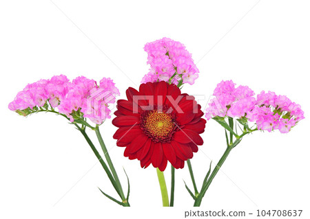 【非洲菊與靜物】(焦點堆疊) 【非洲菊與靜物】(焦點堆疊) 104708637
