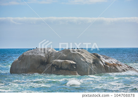 Ocean view of birds sitting on a boulder or rock in the sea in Camps Bay, Cape Town in South Africa. Relaxed and calm landscape view of the sea and beach during the day in summer against a blue sky 104708878