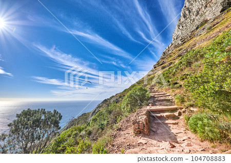 Trail on rocky landscape on Table Mountain in sunny Cape Town, South Africa. Lush green trees and bushes growing against a blue sky background. Relaxing, soothing views from a mountain peak 104708883