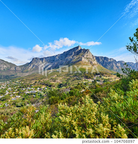 Beautiful view of mountains and houses surrounded by lush green plants against a blue with copy space. Peaceful and scenic Landscape of a peak or hills of Table Mountain and nature on sunny afternoon Beautiful view of mountains and houses surrounded by lush green plants against a blue with copy space. Peaceful and scenic Landscape of a peak or hills of Table Mountain and nature on sunny afternoon 104708897