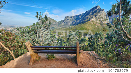 Bench with relaxing, soothing views at the top of table Mountain with a scene of Lions Head against a blue sky. Lush green trees and bushes surrounding a quiet spot to rest and view beauty in nature Bench with relaxing, soothing views at the top of table Mountain with a scene of Lions Head against a blue sky. Lush green trees and bushes surrounding a quiet spot to rest and view beauty in nature 104708979