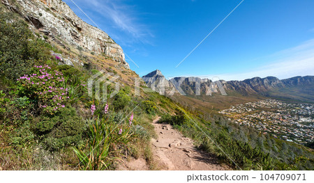 Scenic hiking trail up a mountain surrounded by lush green plants and nature with a clear blue sky. Beautiful landscape of a path on a mountainside near bright foliage with copy space on a summer day 104709071