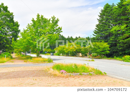 Prince Street / Near Narusawa Looking towards Karuizawa Station (Karuizawa Town, Nagano Prefecture) [July 2023] 104709172