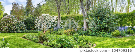 Landscape view of landscaped garden in serene, peaceful private or secluded backyard at home. Neat, calm and freshly mowed green lawn and grass. Serene, tranquil scenic nature yard to relax on break 104709316