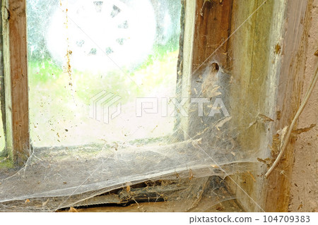 Closeup of an old window with webs and dirt in an abandoned home. Zoom in on wooden frame, texture and design of a messy timber wood styled window with macro details of a dusty, dirty surface Closeup of an old window with webs and dirt in an abandoned home. Zoom in on wooden frame, texture and design of a messy timber wood styled window with macro details of a dusty, dirty surface 104709383