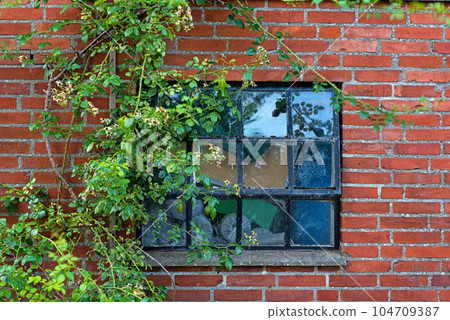 Rustic architecture background of rural building. Old window in a red brick wall with vines and climbing plants growing outside. Exterior closeup of square glass with metal frame in a historic house. 104709387