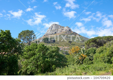 Low angle of a plants and a mountain peak in South Africa on a sunny day. Scenic nature and peaceful landscape of a remote hiking trail in Cape Town against a cloudy blue sky with copy space 104709420