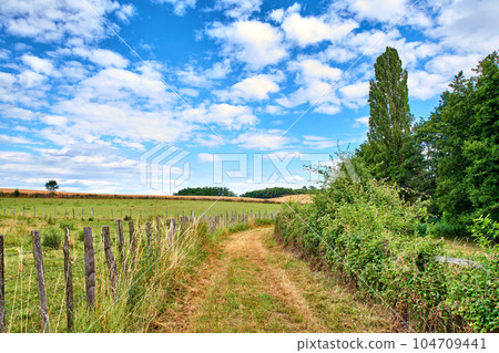 A countryside dirt road leading to agriculture fields or farm pasture in remote area location with blue sky and copy space. Landscape view of quiet, lush, green scenery of farming meadows in Germany A countryside dirt road leading to agriculture fields or farm pasture in remote area location with blue sky and copy space. Landscape view of quiet, lush, green scenery of farming meadows in Germany 104709441