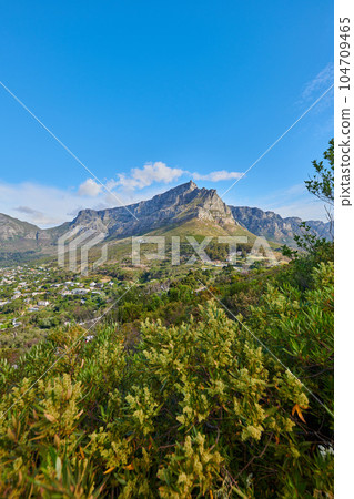 Landscape scenic view of plants, greenery, and vegetation growing on a mountain in nature against a blue sky in summer. Beautiful panoramic scenery of ecology in a natural environment with copyspace 104709465
