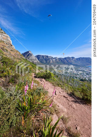 Scenic mountain hiking trail near a coastal city on a sunny day. Quiet nature landscape of a rural trail or walking path with vibrant plants against a blue horizon in South Africa with copy space 104709489