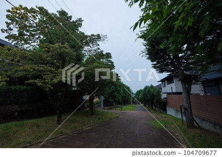 城市的夏天,陰天,有時晴天,梧桐樹排列在街道兩旁的山茱萸樹後面 城市的夏天,陰天,有時晴天,梧桐樹排列在街道兩旁的山茱萸樹後面 104709677