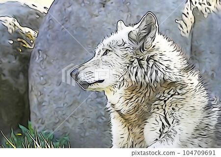 Pastel style "Timber Wolf" illustration image 104709691