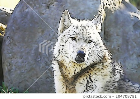 Pastel style "Timber Wolf" illustration image 104709781