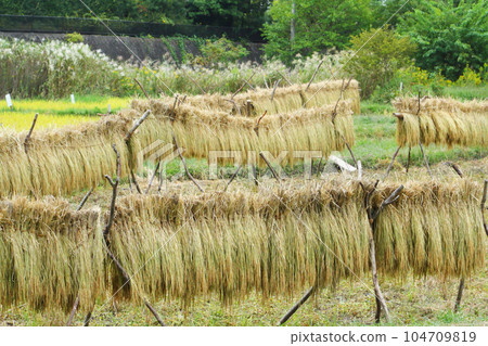 內陸機架 內陸機架 104709819