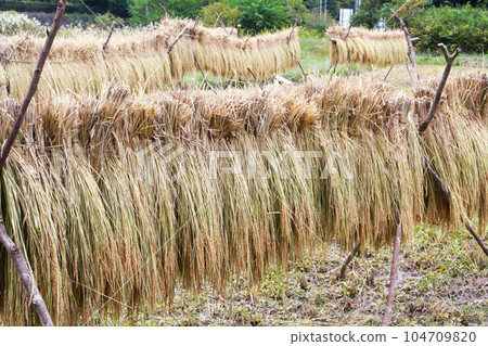 內陸機架 內陸機架 104709820