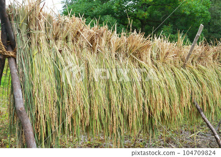 內陸機架 104709824