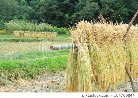 內陸機架 104709844