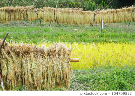 Inland rack 104709852