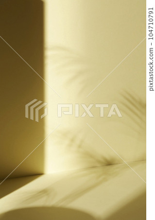 A room with various objects such as warm sunlight, shadows of grass leaves, a vase on a table, and cups 104710791
