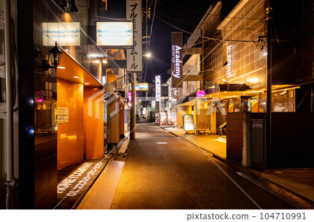 Yoshiwara street 104710991