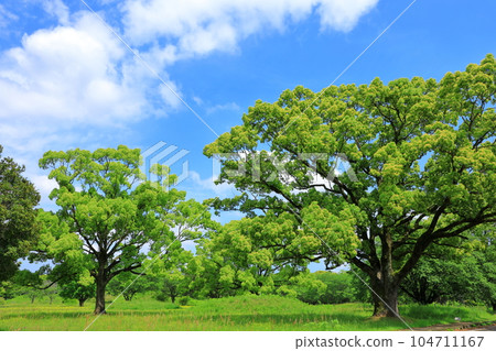 Special Historical Park Saitobaru Burial Mounds Special Historical Park Saitobaru Burial Mounds 104711167