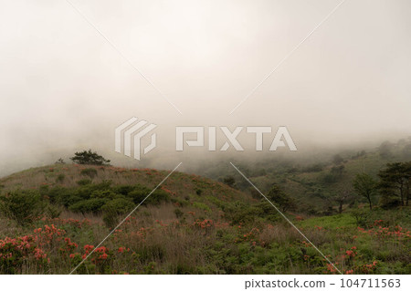 plateau shrouded in fog plateau shrouded in fog 104711563