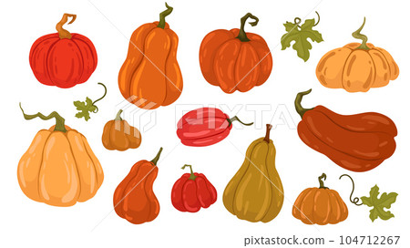 Set flat drawn pumpkins autumn collection. 104712267