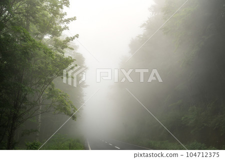 Koriyama City, Fukushima Prefecture Pass road in thick fog 104712375