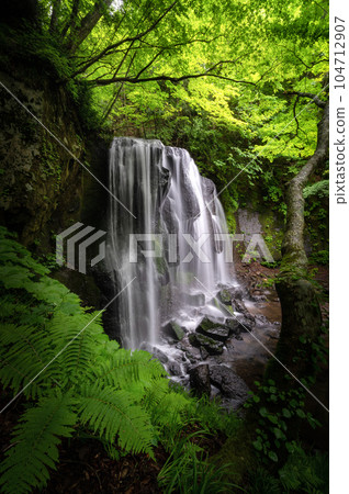 Inawashiro Town, Fukushima Prefecture Fresh green Tatsuzawafudo Falls 104712907