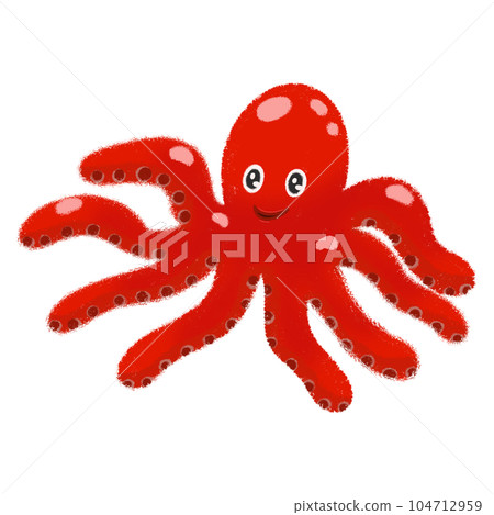 Octopus squid in the sea Octopus squid in the sea 104712959