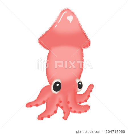 Octopus squid in the sea Octopus squid in the sea 104712960