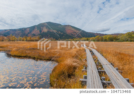 Burning autumn Oze colored with colored leaves 104713468