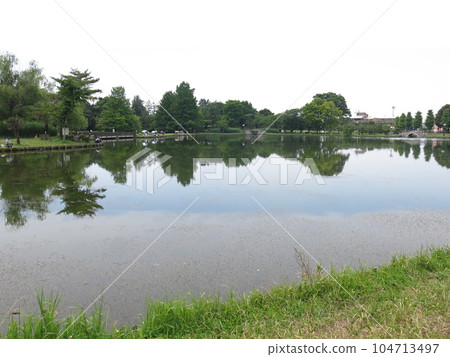 Shinobu Pond in Mizuki Park in Gyoda City 104713497