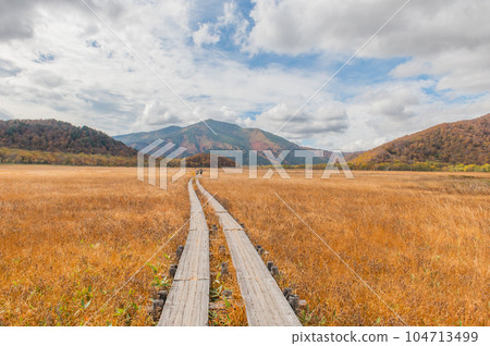 Burning autumn Oze colored with colored leaves 104713499