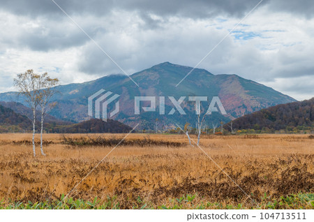 Burning autumn Oze colored with colored leaves 104713511