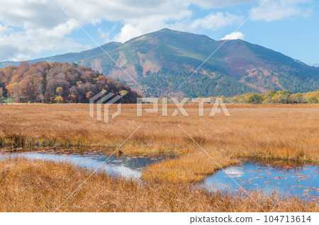 Burning autumn Oze colored with colored leaves 104713614