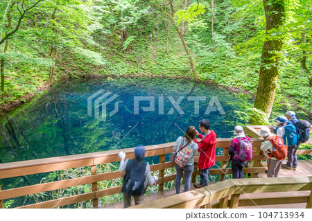 青池（十二湖） 山毛櫸林孕育的藍色池塘 遊客 104713934