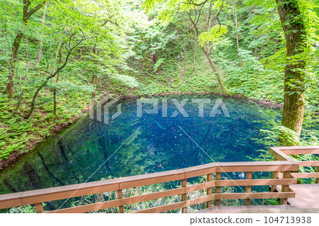 青池(十二湖) 山毛櫸林培育的藍色池塘 青池(十二湖) 山毛櫸林培育的藍色池塘 104713938