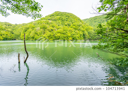 Ketoba Pond (Twelve Lakes) Ketoba Pond (Twelve Lakes) 104713941