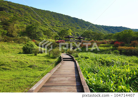 美麗的山景與步道(木棧道) 104714407