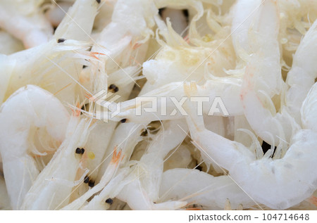 White shrimp 104714648