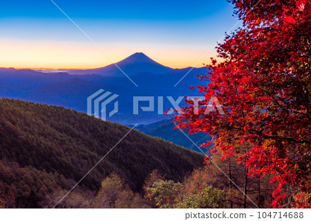 (Yamanashi Prefecture) Autumn leaves of Mt. Kushigata and Mt. Fuji before sunrise (Yamanashi Prefecture) Autumn leaves of Mt. Kushigata and Mt. Fuji before sunrise 104714688