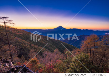 (Yamanashi Prefecture) Autumn leaves of Mt. Kushigata and Mt. Fuji before sunrise 104714692