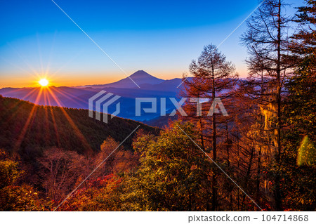 (Yamanashi Prefecture) Mt. Fuji sunrise seen from Mt. Kushigata in autumn colors 104714868