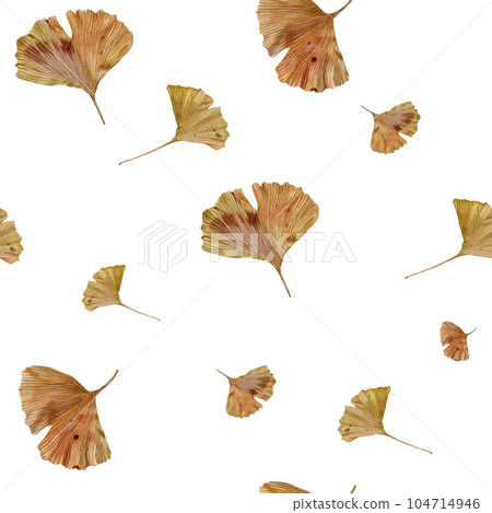 Autumn leaf of ginkgo biloba. Watercolor illustration on an isolated white background. Handmade botanical illustration. Ginko gold leaf for design, textiles, packaging. 104714946