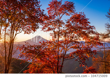 (Yamanashi Prefecture) Mt. Fuji through the autumn leaves of Mt. Kushigata (Yamanashi Prefecture) Mt. Fuji through the autumn leaves of Mt. Kushigata 104715009