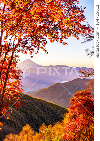(Yamanashi Prefecture) Mt. Fuji through the autumn leaves of Mt. Kushigata (Yamanashi Prefecture) Mt. Fuji through the autumn leaves of Mt. Kushigata 104715012